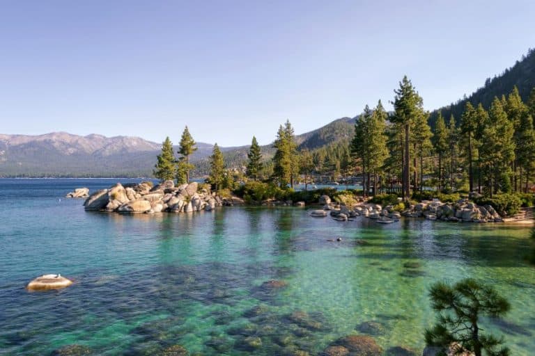 lake tahoe shore view on a sunny day